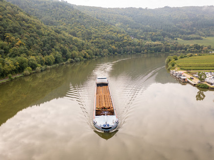 Schiff auf der Mosel zwischen Mehring und Detzem